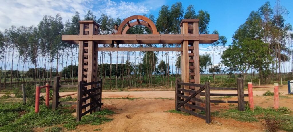 WhatsApp Image 2026-02-04 at 15.50.15